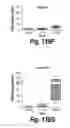 Fig. 96 - CNS delivery of therapeutic agents