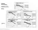 Fig. 11 - Long lasting effect of new botulinum toxin formulations