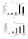 Fig. 11 - Nanospheres encapsulating bioactive material and method for formulation of nanospheres