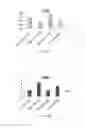 Fig. 22 - Nanospheres encapsulating bioactive material and method for formulation of nanospheres