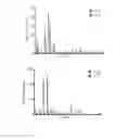 Fig. 04 - COMPOSITIONS COMPRISING GLUTEN PEPTIDES AND USES THEREOF