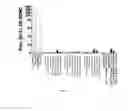 Fig. 08 - COMPOSITIONS COMPRISING GLUTEN PEPTIDES AND USES THEREOF