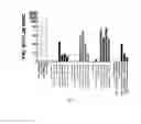 Fig. 35 - COMPOSITIONS COMPRISING GLUTEN PEPTIDES AND USES THEREOF