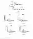 Fig. 46 - COMPOSITIONS COMPRISING GLUTEN PEPTIDES AND USES THEREOF