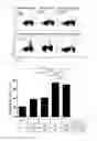 Fig. 09 - VACCINE