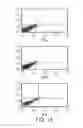 Fig. 13 - MODULATED IMMUNODOMINANCE THERAPY