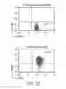 Fig. 20 - MODULATED IMMUNODOMINANCE THERAPY