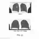 Fig. 18 - MODULATED IMMUNODOMINANCE THERAPY