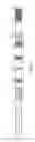 Fig. 04 - Methods and compositions relating to P62 for the treatment and prophylaxis of cancer