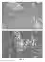 Fig. 06 - Methods and compositions relating to P62 for the treatment and prophylaxis of cancer