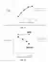 Fig. 09 - Methods and compositions relating to P62 for the treatment and prophylaxis of cancer