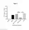 Fig. 06 - M.tuberculosis vaccines