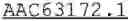 Fig. 05 - CHLAMYDIA  ANTIGENS AND USES THEREOF