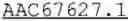 Fig. 13 - CHLAMYDIA  ANTIGENS AND USES THEREOF
