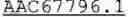 Fig. 17 - CHLAMYDIA  ANTIGENS AND USES THEREOF