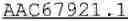 Fig. 25 - CHLAMYDIA  ANTIGENS AND USES THEREOF
