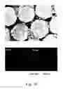 Fig. 07 - Biodegradable nanocomplex