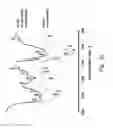 Fig. 08 - Biodegradable nanocomplex
