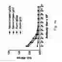 Fig. 10 - Biodegradable nanocomplex