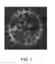 Fig. 02 - CHIMERIC THERAPEUTICS, COMPOSITIONS, AND METHODS FOR USING SAME