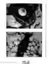 Fig. 06 - Compositions for antigen-specific induction of tolerance