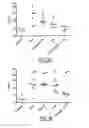 Fig. 07 - Compositions for antigen-specific induction of tolerance