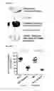 Fig. 32 - Bioactive conjugates for oligonucleotide delivery