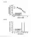 Fig. 37 - Bioactive conjugates for oligonucleotide delivery