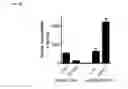 Fig. 40 - Bioactive conjugates for oligonucleotide delivery