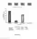 Fig. 02 - Co-administration of an agent linked to an internalization peptide with an anti-inflammatory