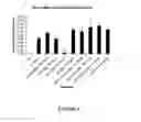 Fig. 05 - Co-administration of an agent linked to an internalization peptide with an anti-inflammatory