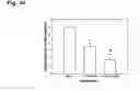 Fig. 16 - Co-administration of an agent linked to an internalization peptide with an anti-inflammatory