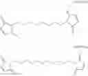 Fig. 10 - METHODS OF USING ANTI-STEAP1 ANTIBODIES AND IMMUNOCONJUGATES