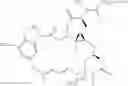 Fig. 12 - METHODS OF USING ANTI-STEAP1 ANTIBODIES AND IMMUNOCONJUGATES