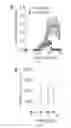 Fig. 06 - AAV-BASED GENE THERAPY FOR MULTIPLE SCLEROSIS