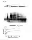Fig. 22 - Aptamer-mRNA conjugates for targeted protein or peptide expression and methods for their use