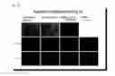 Fig. 23 - Aptamer-mRNA conjugates for targeted protein or peptide expression and methods for their use