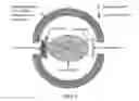 Fig. 06 - Nanoparticle-enabled x-ray magnetic resonance imaging (NXMRI)
