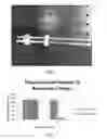 Fig. 08 - Nanoparticle-enabled x-ray magnetic resonance imaging (NXMRI)