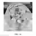 Fig. 14 - Nanoparticle-enabled x-ray magnetic resonance imaging (NXMRI)