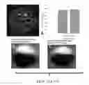 Fig. 28 - Nanoparticle-enabled x-ray magnetic resonance imaging (NXMRI)