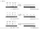 Fig. 03 - PTP blister sheet, and PTP blister pack formed from same