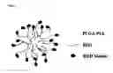 Fig. 02 - Dry spray on hemostatic system