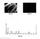 Fig. 10 - Methods for forming scaffolds