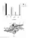Fig. 19 - Heparan sulphates