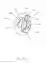 Fig. 41 - Medical injector system