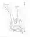 Fig. 35 - Mask system with shroud