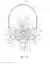 Fig. 46 - Mask system with shroud