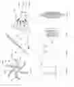 Fig. 06 - Inflatable medical devices