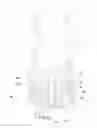 Fig. 01 - SKIN CARE DEVICE